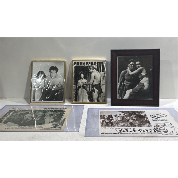 Collection of Tarzan Movie Stills