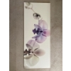 Orchids Picture Printed On Canvas 55L x 22W