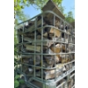 Image 2 : Single Large IBC Metal Tote Cage; 39inx47in, 45In Tall w/ Contents (Firewood) 