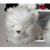 Image 4 : Stuffed Animals Collection