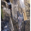 Image 14 : Decanter 5.5" Bottom, 14.5 T, Cutlery and Collector Spoons 