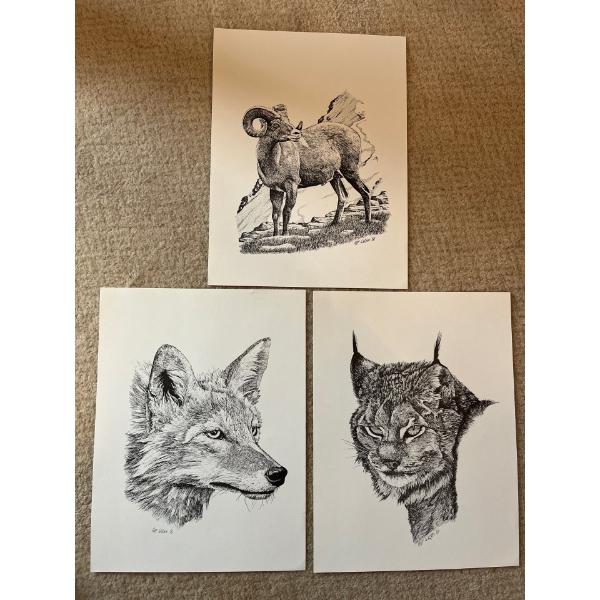 original pencil sketches of wildlife by HARP Wilson