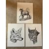 Image 1 : original pencil sketches of wildlife by HARP Wilson