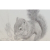 Image 3 : Squirrels Dish by Carl Brenders Ltd Edition Print  1135/1750  22 w 25 h