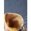 Image 3 : Shofar Horn