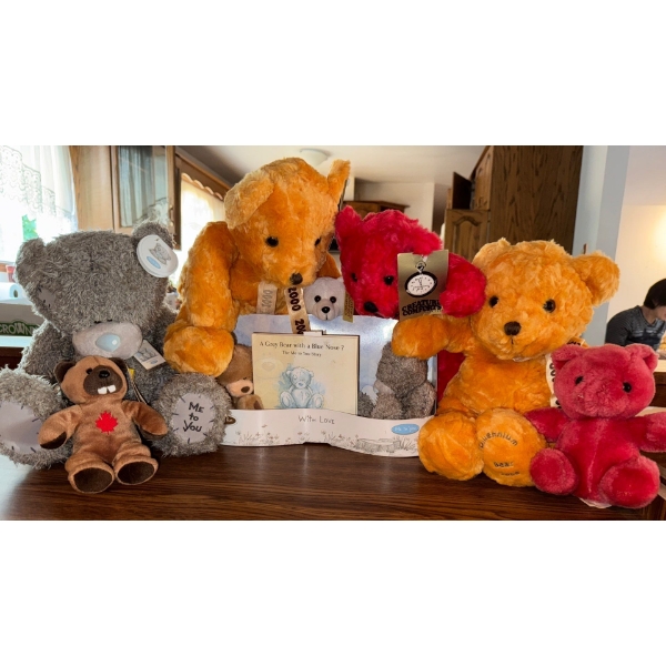 NEW Collectable Teddy Bear Family w/ Assorted Home Accents
