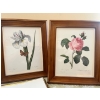 Image 5 : Collection of four readers digest collection, framed botanical art prints featuring floral illustrat