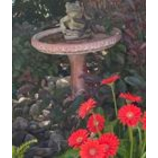 Bird Bath - Currently Under Snow