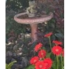 Image 1 : Bird Bath - Currently Under Snow