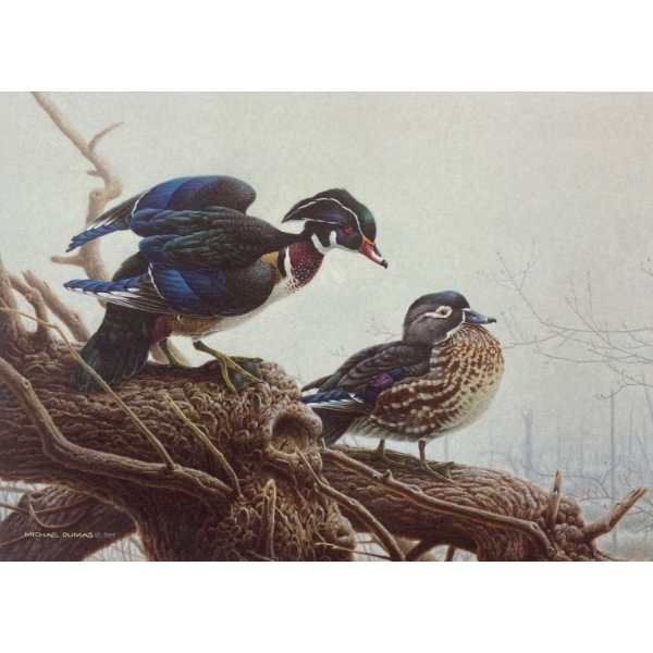  Michael Dumas "Wood Ducks - Spring Mist" Signed Wildlife Habitat Canada Print