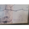 Image 4 : Snow Tiger Print - Artist Robert R. Copple, 43.5 X 28 Framed Under Glass 