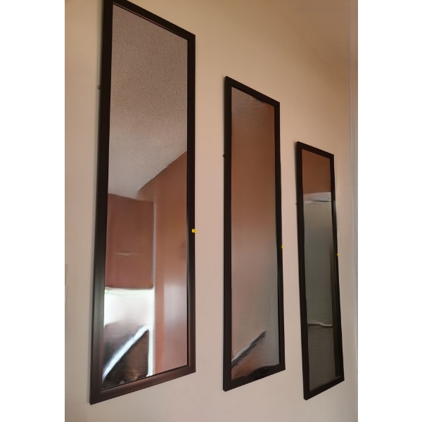 Trio of Wall Mirrors 14 X 50 Each