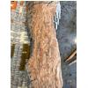 Image 2 : Handmade wall tapestries BOHO style Sun Wall Decor Made Of Rattan or Wicker With Wood Carving from V