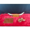 Bull Horns 46"L, Renwick Bull Hide Bag, and Leather Strap Knee Pads