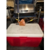 Image 3 : Large Camping Bundle For Any Camper