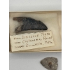 Image 1 : dinosaur tooth from the CRETACEOUS Period Drumheller Alberta and a indigenous arrowhead.