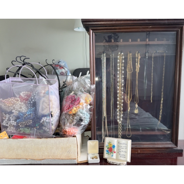 Costume Jewelry and Display Case