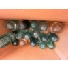 Image 5 : Antique bottles and insulators .