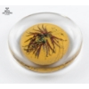 Image 2 : Collection Of Artistic Glass Items, Glass Perfume Bottle Without Stopper 7''INCHES H , And More