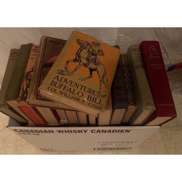 Vintage/Antique Fiction Book Collection 