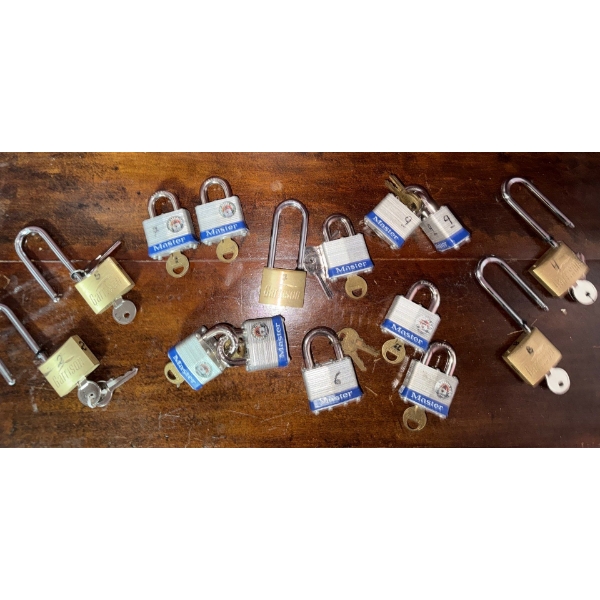 Lock In Your Bids !!! Master Lock & Key Collection - Assorted Sizes 