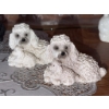 Image 4 : Poodle Figurines Collection
