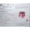 Image 3 : Amethyst gemstone Octagon Cut 153.7 ct Certified Value ($23,055 Appraisal)