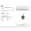 Image 3 : 4.4 g Certified Silver Emerald gemstone Pendant ($9,135 Appraisal)