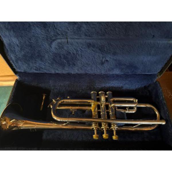 Musical Trombone in Case 