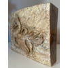 Image 2 : Archaeopteryx Fossil Inspired Carving 8L 'Ancient Wing' 