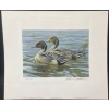 Image 2 : Robert Bateman "Pintails in Spring" Signed Wildlife Habitat Canada Print