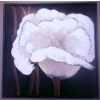 Image 1 : Framed Floral Artwork, Black Leather Ottoman, and Pair of Black Side Tables