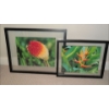 Image 2 : Framed Botanical Prints 20x16