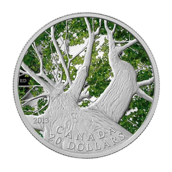 2013 $20 Maple Canopy: Spring - Pure Silver Coin
SKU: 123251
