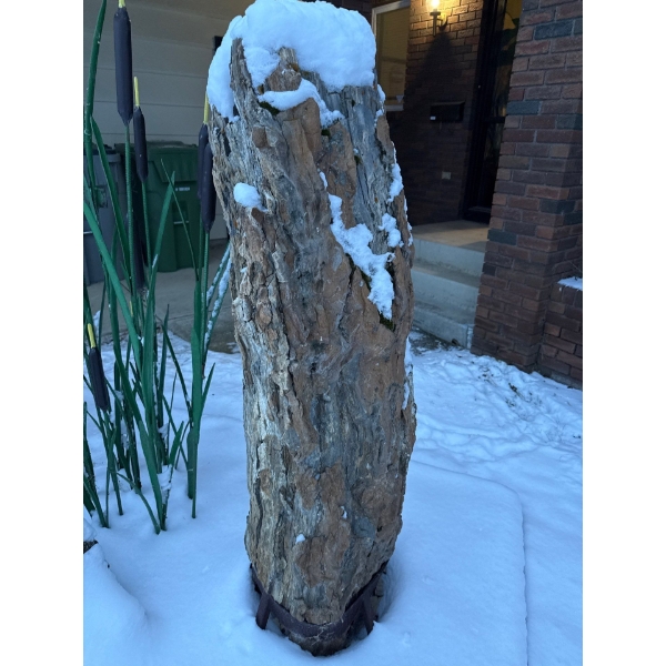 5 Ft Tall Petrified Wood Rock