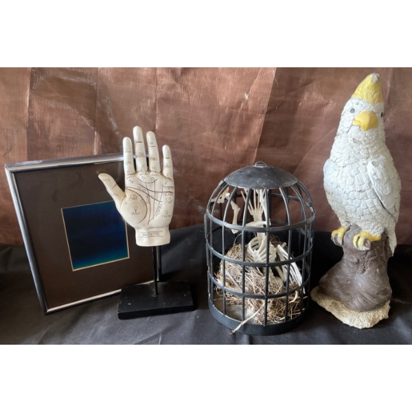 Palmistry Hand Sculpture Caged Bird Skeleton & Cockatiel Figurine 