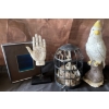 Image 1 : Palmistry Hand Sculpture Caged Bird Skeleton & Cockatiel Figurine 
