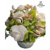Image 2 : ecorative arrangement featuring moon scallop (Amusium pleuronectes).