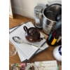 Image 5 : Kitchen Essentials - Electric Teapot Culinary Knives Cutting Boards Cook Books 