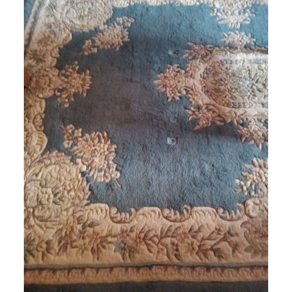 Fancy Fluffy Fun Lovin Family Room Rug/Carpet