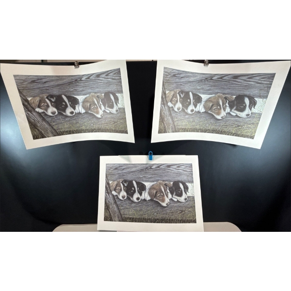 Alex Halliburton 3 Copies of Campbell River Collies 17.5Tx28.5W