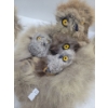 Image 4 : Indigenous Folk Art - Genuine Marmot Fur Owl Nest w/ Owl Family 7.5T (9 Pieces) 