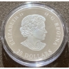 Image 3 : 2016 $20 Ski Chalet Fine Silver Coin 31.83 Grams