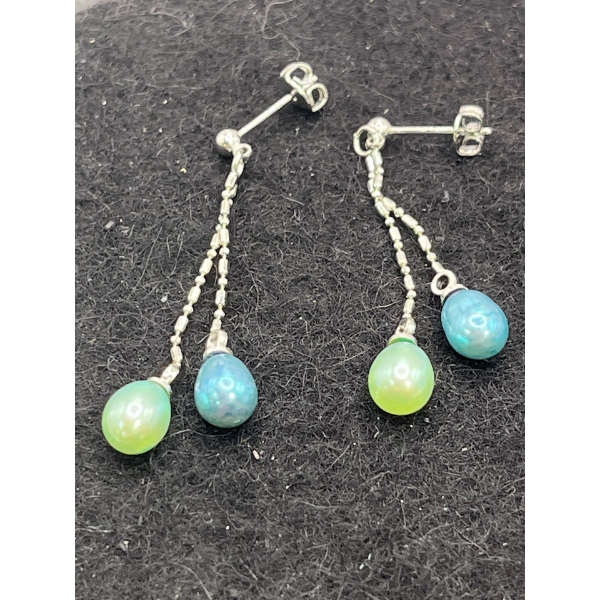 Dangly Coloured Beaded Earrings