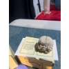 Image 16 : The World Of Krystonia Dragons and Other Funny Little Creatures Figurines