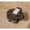 Image 3 : Soapstone Rabbit 3 W, 2 T 