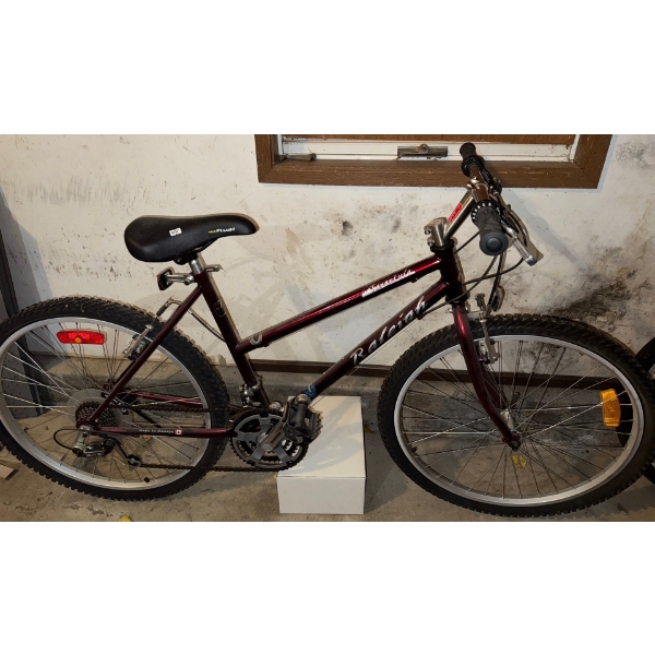 Raleigh Bicycle Adult