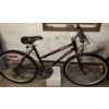 Raleigh Bicycle Adult