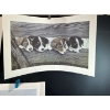 Image 4 : Alex Halliburton Spring Forager, Nautical Nap, Campbell River Collies