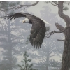 Image 4 : Numb. Print 21/950 "Shrouded Forest- Bald Eagle", Artist Daniel Smith, 32 X 43.5 Framed Under Glass 
